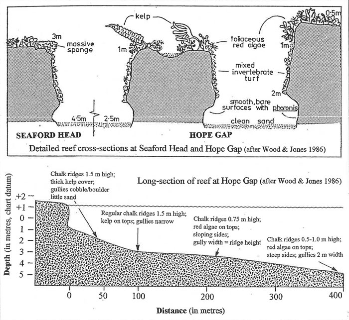 Diagrammatic representation of site