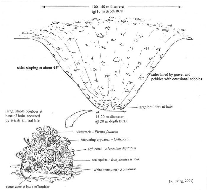 Whirlpool Org Chart