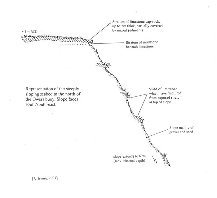 Diagrammatic representation of site