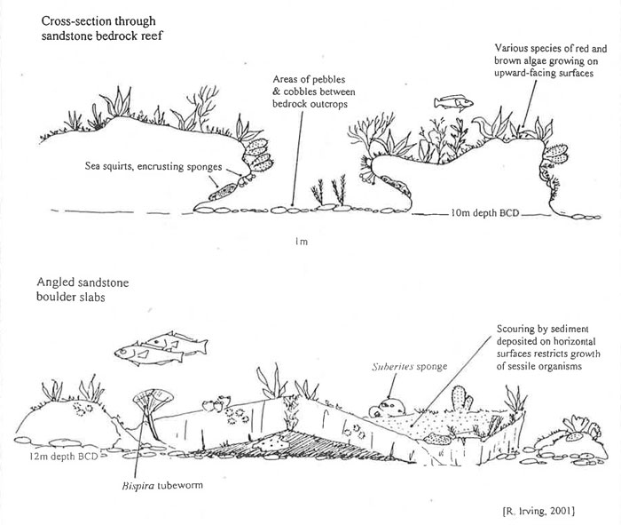 Diagrammatic representation of site