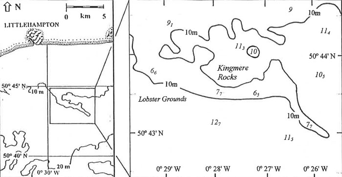 Site location
