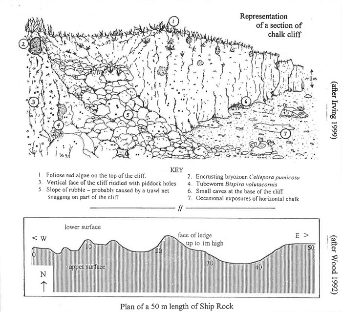 Diagrammatic representation of site