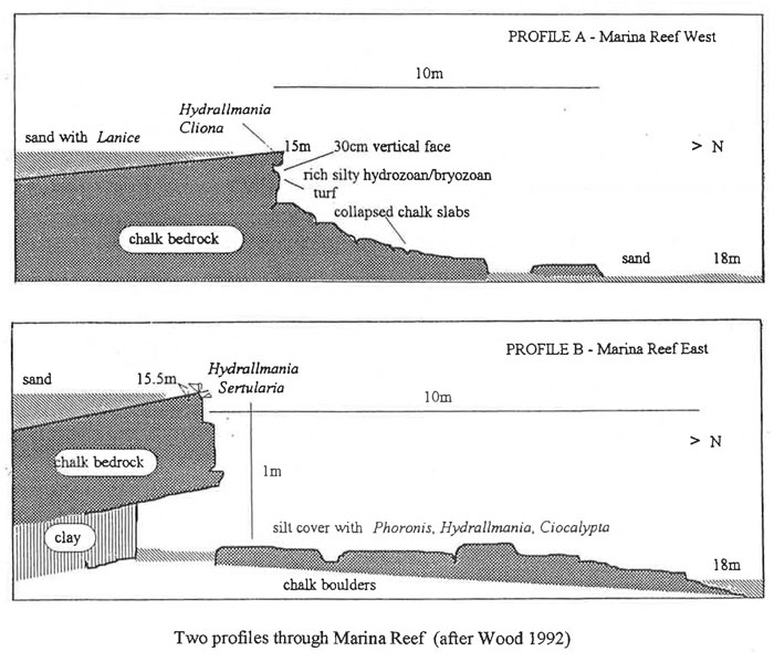 Diagrammatic representation of site