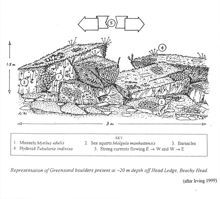 Diagrammatic representation of site