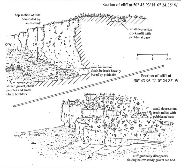 Diagrammatic representation of site